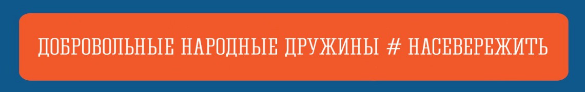 Дружины